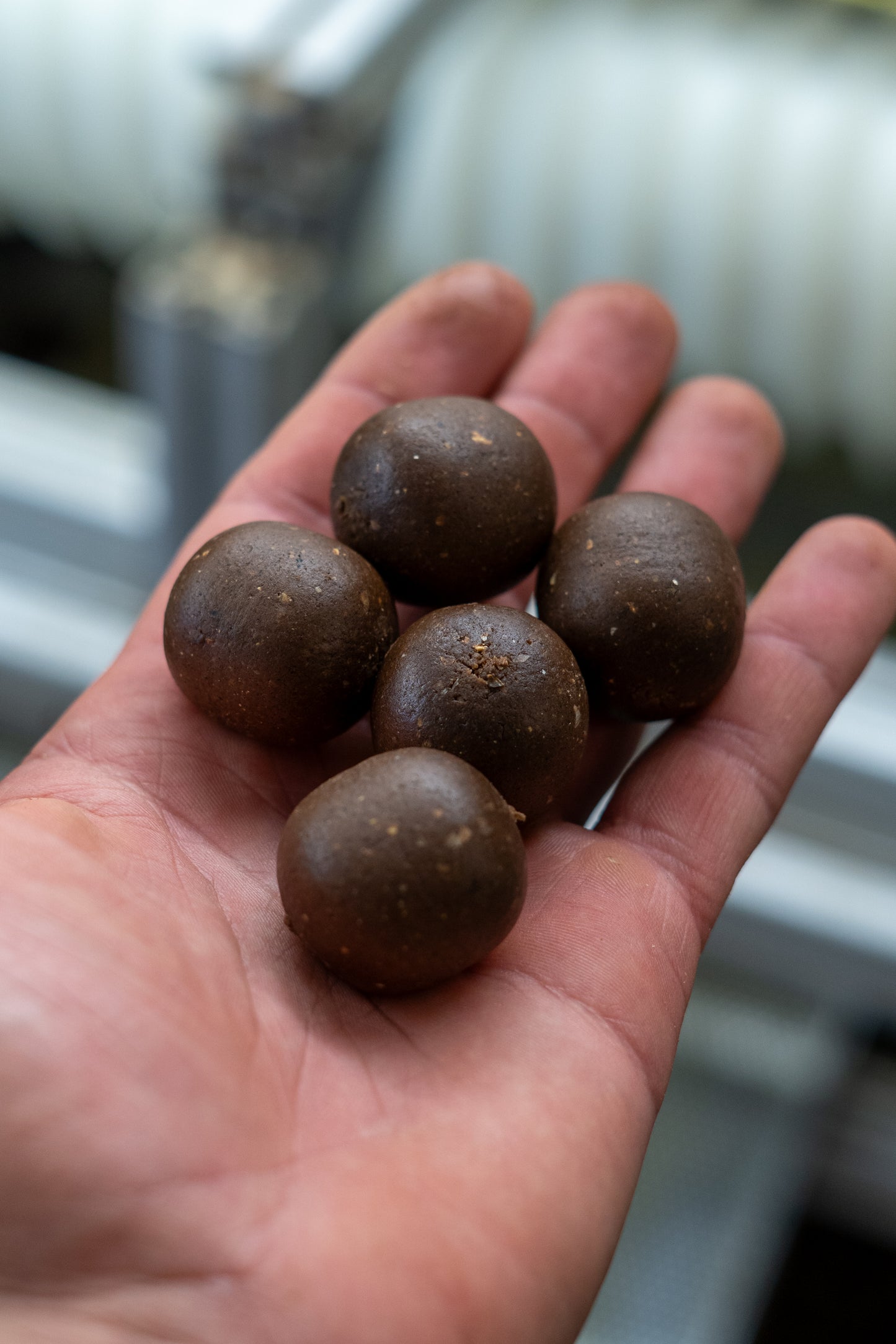 Fisch Boilies