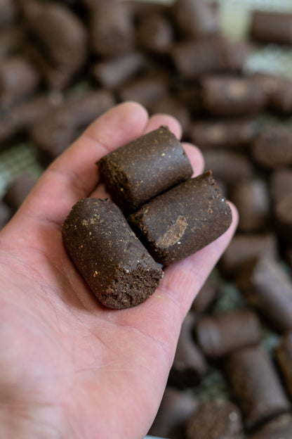Fisch Boilies