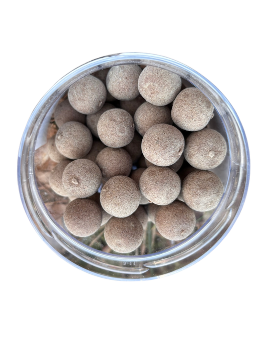 Fisch Basemix Pop-Ups